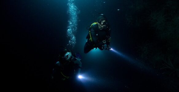 Wreck and Night dives