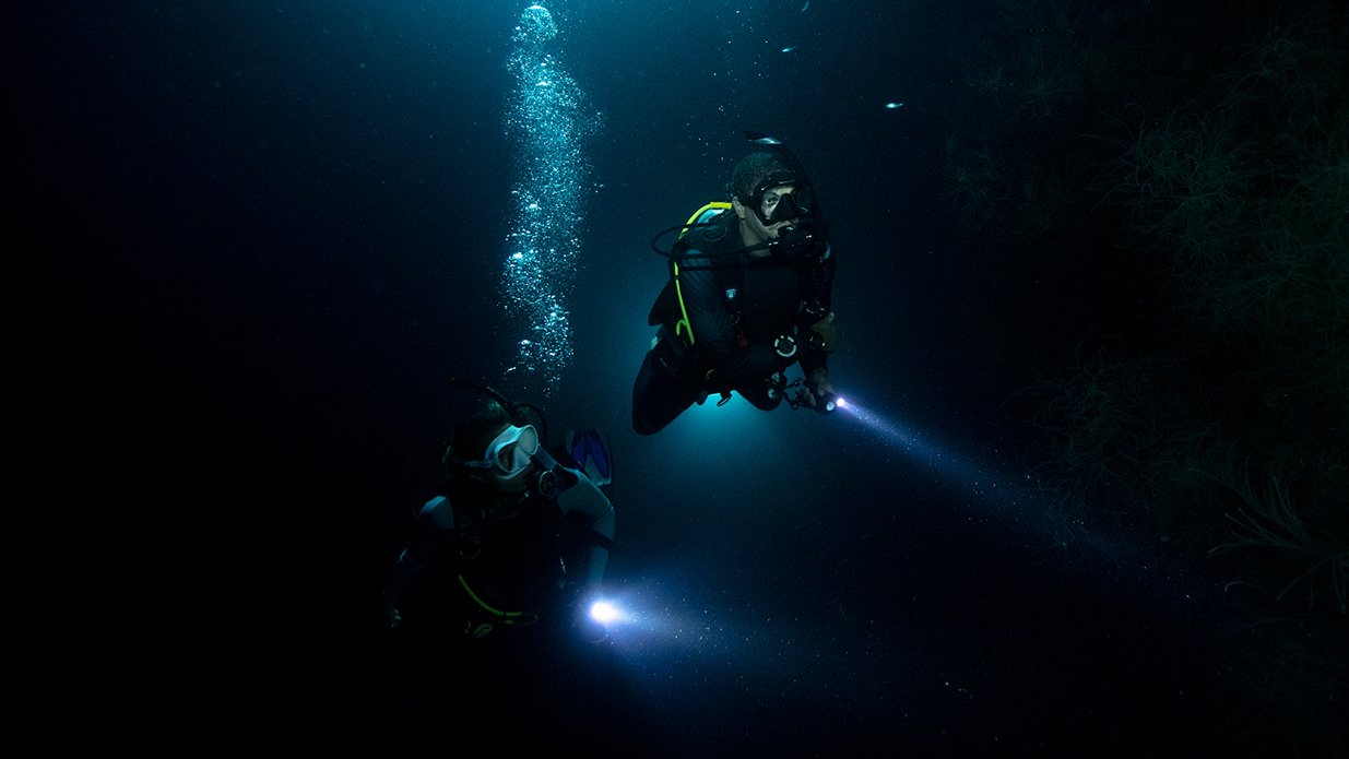 Seashell Divers