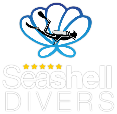 Seashell Divers