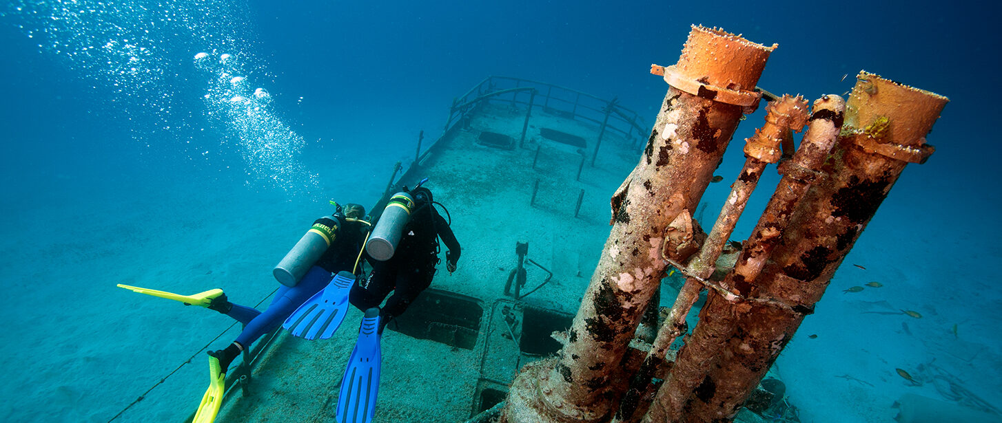 Seashell Divers