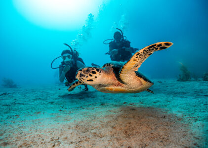 PADI Divemaster