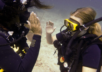 PADI Courses Information