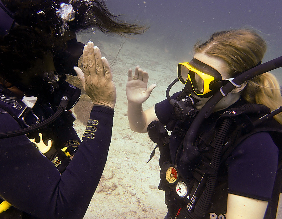 Seashell Divers