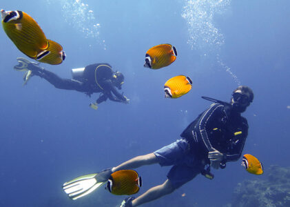 Become a PADI Scuba diver on Koh Tao